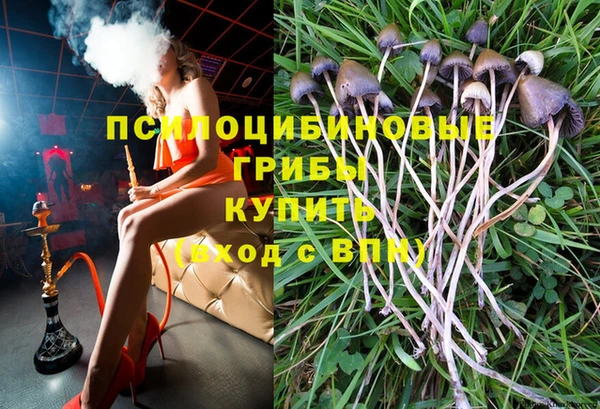 хмурый Абинск