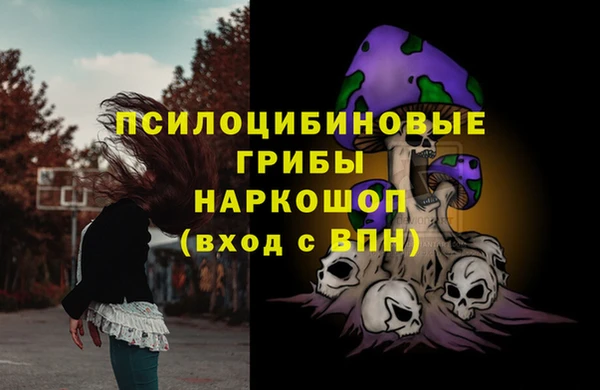хмурый Абинск
