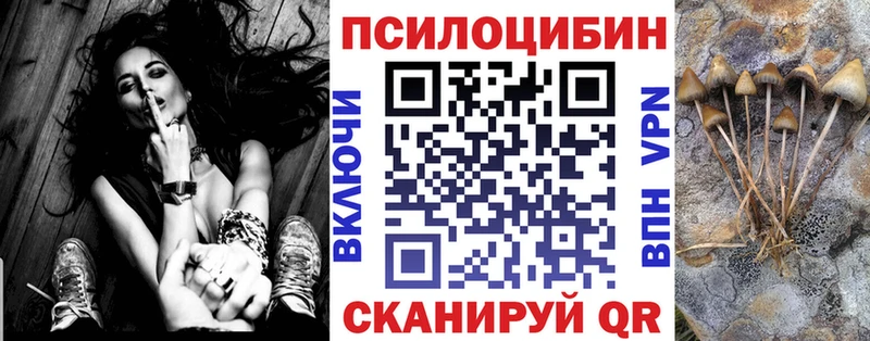 как найти   Шумерля  Галлюциногенные грибы Psilocybine cubensis 