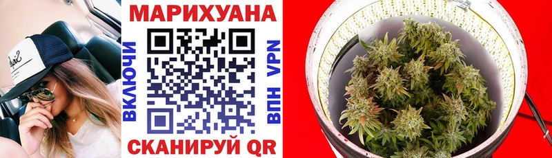 как найти закладки  Шумерля  Конопля LSD WEED 